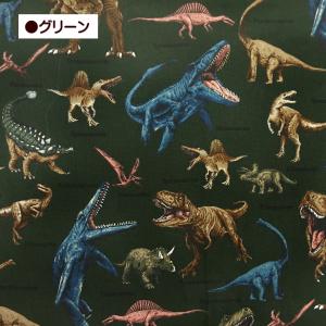 10cm単位 生地 オックス生地 ツイル生地 ...の詳細画像3