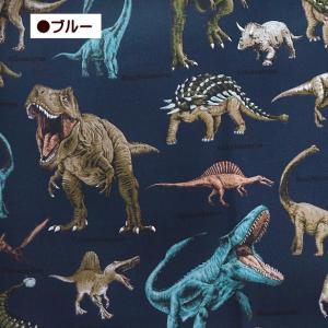 10cm単位 生地 オックス生地 ツイル生地 ...の詳細画像4