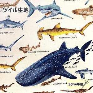 ツイル 生地 サメ 図鑑 サメ柄 鮫 さめ シャ...の商品画像