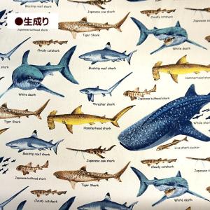 ツイル 生地 サメ 図鑑 サメ柄 鮫 さめ シ...の詳細画像3