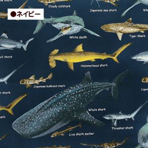 ツイル 生地 サメ 図鑑 サメ柄 鮫 さめ シ...の詳細画像5