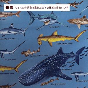ツイル 生地 サメ 図鑑 サメ柄 鮫 さめ シ...の詳細画像4