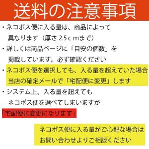 シーチング生地 くま柄2種 リリックベア ぬい...の詳細画像1