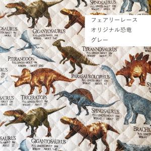 キルティング 生地 リアル 恐竜大行進 通園 ...の詳細画像2