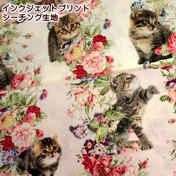 シーチング生地 インクジェットプリント キルトゲイト ローズ ミート キトゥン 猫 キャット 綿10...