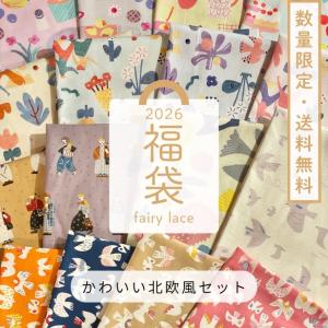 生地 はぎれ セット 布 手芸 手作り ハンドメイド ダブルガーゼ ハギレ