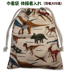 巾着 /大/ 体操着入れ 恐竜 裏地付き 恐竜柄 シダ植物 オリジナル恐竜