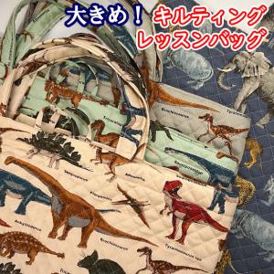 レッスンバッグ キルティング 恐竜 シダ植物 恐竜柄 裏地付き 男の子