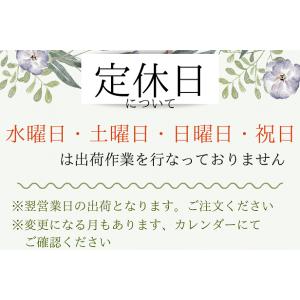 CBポプリン 生地 宇宙と惑星 土星 宇宙 銀...の詳細画像5