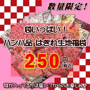 【2021-2022年 年末年始 福袋】袋いっぱいハンパ品 はぎれ 生地福袋 福袋 1個 宅配便配送のみ お一人様1点まで 単品での購入はできません