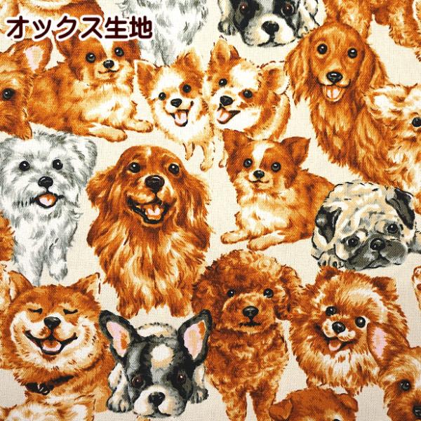 オックス 生地 わんこの笑顔 犬柄 いぬ わんこ プードル パグ チワワ コーギー テリア マルチー...