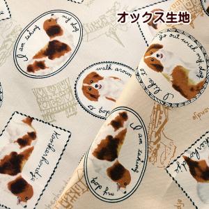 オックス 生地 コーイケルホンディエ 犬 わんこ かわいい 話題 人気 日本製 ワンコ kooikerhondje 手作り レッスンバッグ生地 手芸｜fairy-lace