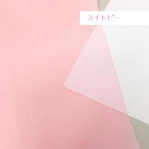 【10cm単位】無地 ナイロン生地 布 タフタ...の詳細画像1