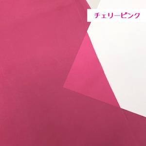 【10cm単位】無地 ナイロン生地 布 タフタ...の詳細画像5