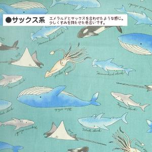 オックス 生地 海の生き物柄 入園 入学 レッ...の詳細画像4