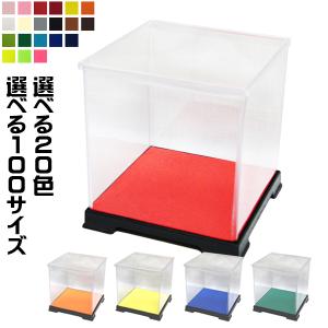 【選べる100サイズ】 コレクションケース フ...の詳細画像5