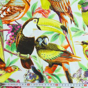 KT-4626 オウム、鳥、リス、蝶々 デジタ...の詳細画像1
