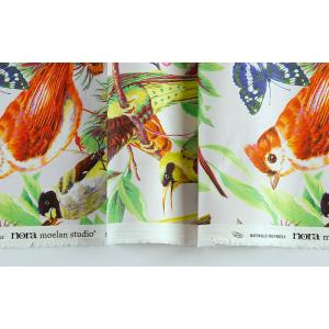 KT-4626 オウム、鳥、リス、蝶々 デジタ...の詳細画像3
