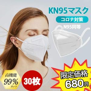 送料無料！KN95マスク KN95 30枚入 N95 マスク 使い捨て 3D立体 5層構造 不織布マスク 男女兼用 大人サイズ 防塵マスク