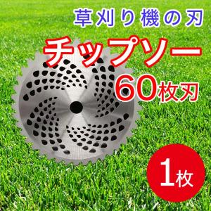 255mm×60Ｐ 草刈機用 替え刃 山林 農業 建設業 草刈機 替刃 チップソー 替え刃 刈払機 60枚刃 カッター 草 園芸 草刈り 伐採 工具 芝刈機