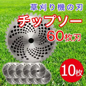 255mm×60Ｐ 草刈機用 替え刃 10枚セット 山林 農業 建設業 草刈機 替刃 チップソー 替え刃 刈払機 60枚刃 カッター 草 園芸 草刈り 伐採 工具 芝刈機｜fairyselection