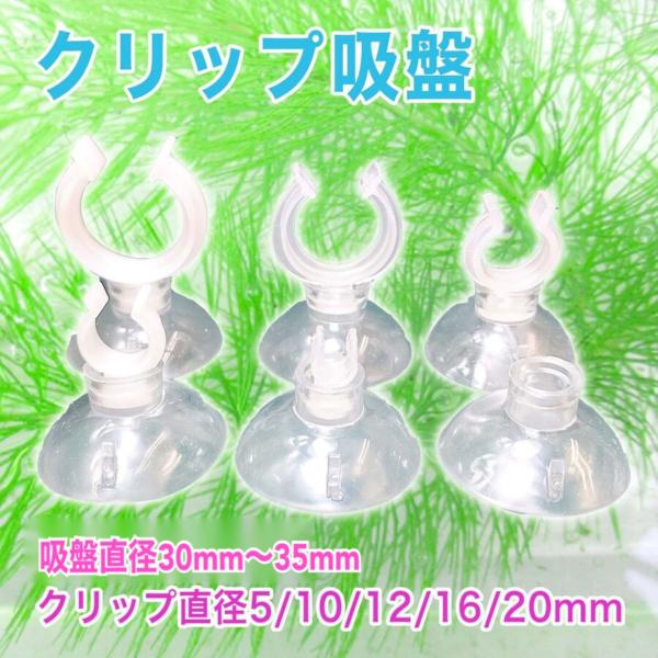 クリップ吸盤 5個セット　キスゴム　アクアリウム　水槽　熱帯魚　シュリンプ　水草　フィルター　CO2...