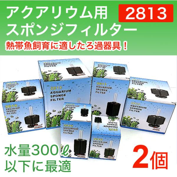 2個セット スポンジフィルター 2813 350Ｌ 以下水槽 大型フィルター シュリンプ エビ 小型...