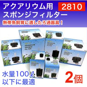 30点セットスポンジフィルター  アクアリウム  水槽 フィルター  50L 楽天市場】水槽用 スポンジフィルター スポンジ フィルター