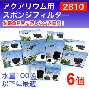 ブセファランドラ Bucephalandra sp. Dark Velvet : Fairy Selection