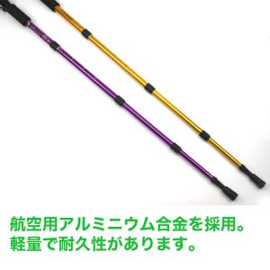 トレッキングポール T字型 2本 付属品11点...の詳細画像4