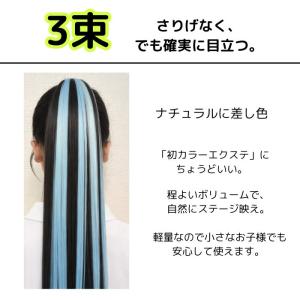 エクステ ウィッグ ストレート ロング 17色...の詳細画像3