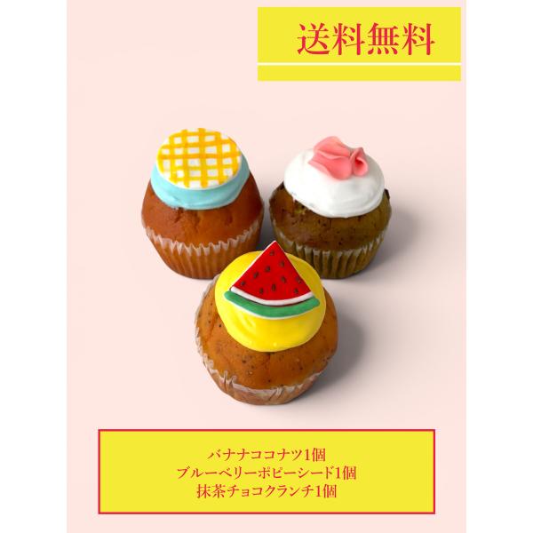 送料無料　シーズンカップケーキ3個セット