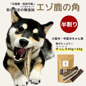 【まとめ買いがお得！】小型犬〜中型犬 11cm〜13cm ずっしり！40g〜50g（半割り）鹿の角 犬のおもちゃ 北海道 国産 無添加 エゾ鹿の角 犬