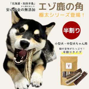 数量限定!北海道産 エゾ鹿の角 小型犬用2〜4本入り 鹿角(シカつの