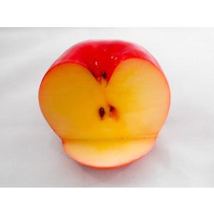 リンゴ  タブレットスタンド｜fakefoodjapan
