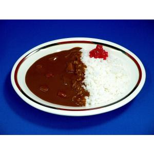 カレーライス 食品サンプル