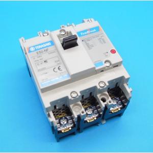 ノーヒューズブレーカー汎用品シリーズ 裏面型 E250-SF 3P125A RC 寺崎