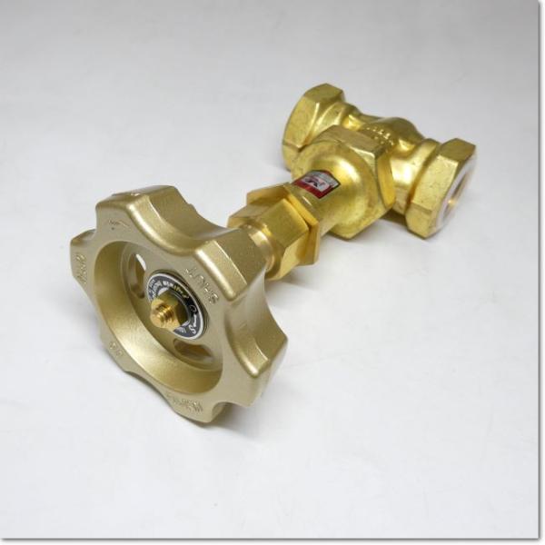 Fujikin 手動グローブタイプニードルバルブ DH-12LE-R Rc3/4