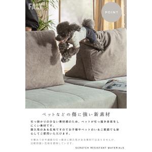 3P単品 猫の 爪 に強い 犬 ペット アイラ...の詳細画像2