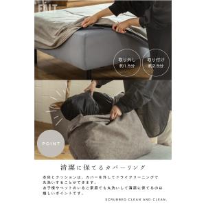 3P単品 猫の 爪 に強い 犬 ペット アイラ...の詳細画像3