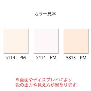 エコスター300ml 超高隠蔽の詳細画像1
