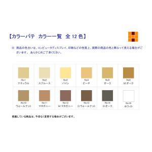 カラーパテ 充填・補修用の詳細画像1