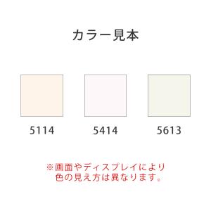 トーンマッチホワイト 300mlの詳細画像1