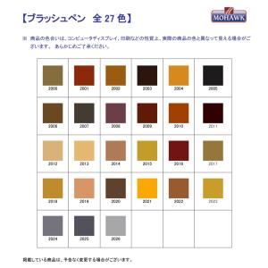 ブラッシュペンの詳細画像1