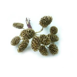 ヤシャブシ（ハンの実）ワイヤー付 ゴールド 1.5〜3ｃｍ（1個） 松ぼっくり クリスマスの実物 天然素材 花材 ドライフラワー
