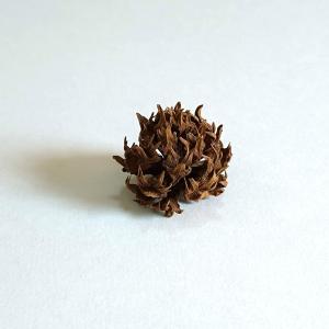 松かさ ミニ ナチュラル 1.5〜3ｃｍ（1個） 松ぼっくり クリスマスの実物 天然素材 花材 ドライフラワー