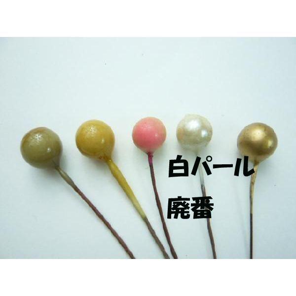 【処分品】実物 フルーツ 丸玉7ｍｍ〜11ｍｍ（１本）