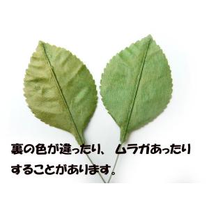 アウトレットリーフ バラリーフ804 Lベルベ...の詳細画像2