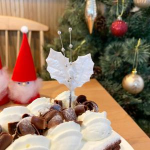 クリスマスケーキ 飾り オーナメント シックな...の詳細画像3