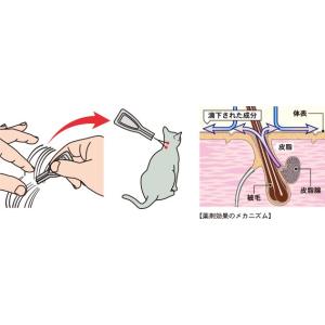 薬用ペッツテクト+ フォースガード 小型犬用 1Pの詳細画像2